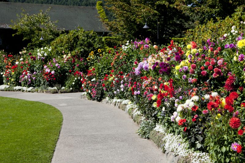 Concrete Border Repair